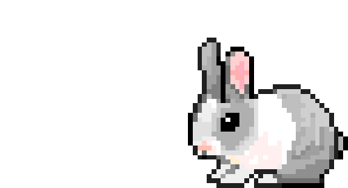 rabbit gif